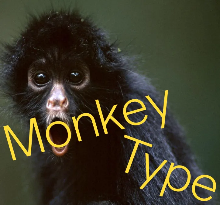 Insta gif name monkey｜TikTok Search