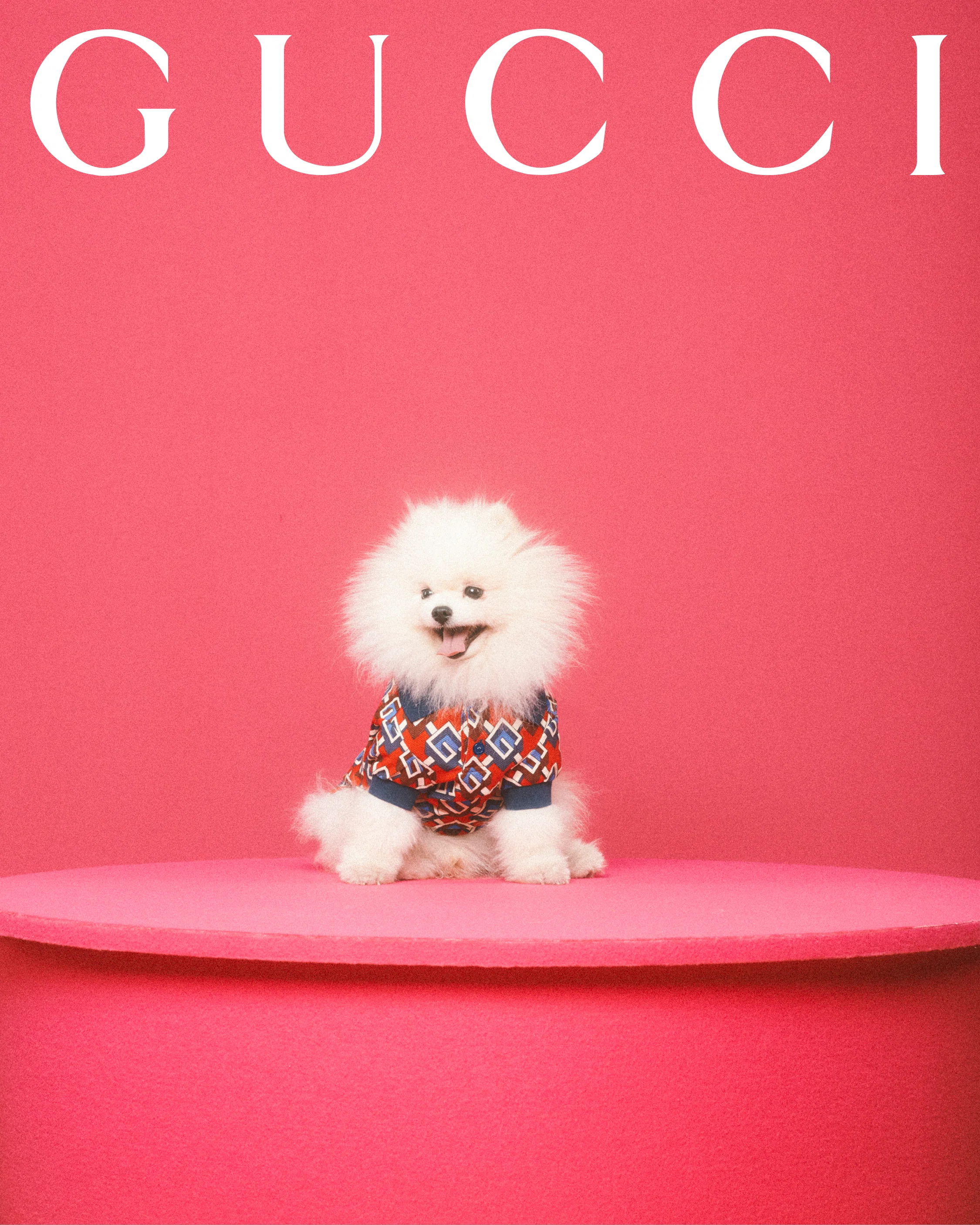 Gucci Luxury Pet Bed