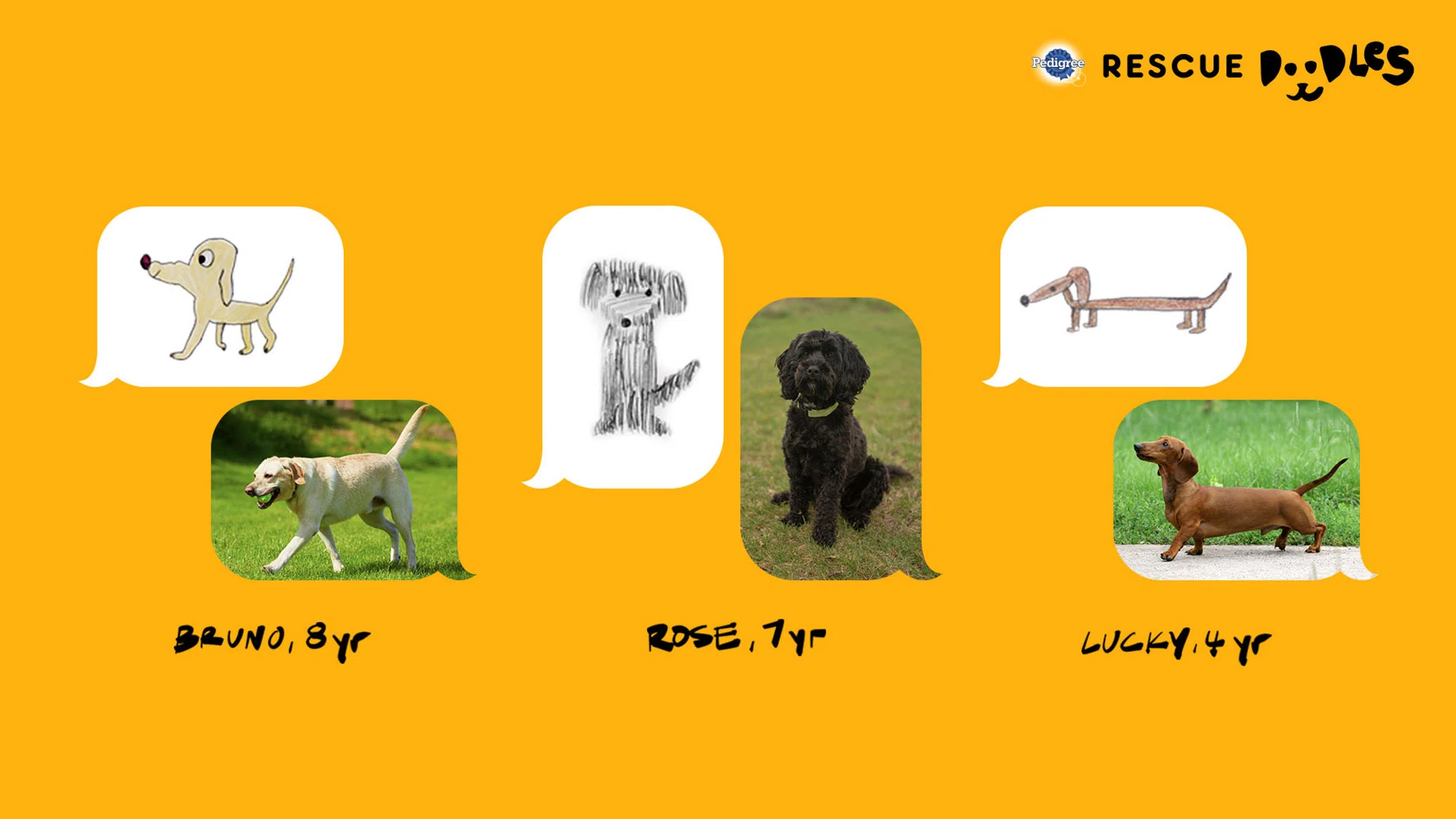 Pedigree's Rescue Doodles matches children's drawings with a nearby  adoptable dog