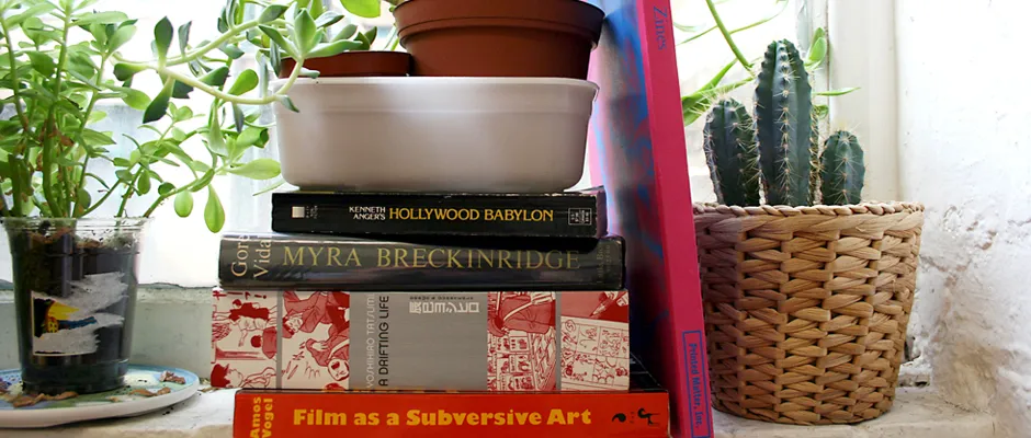 Bookshelf Subversive Cinema And The Characters Therein All On